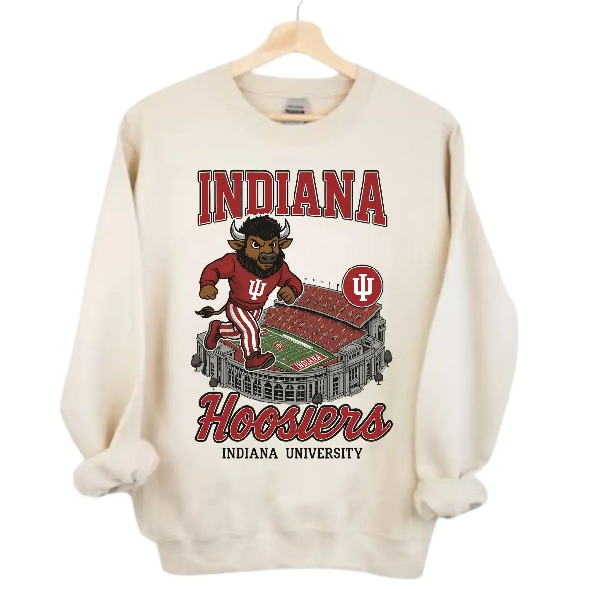 Vintage Indiana Football College Mascots Sweatshirt, Indiana Unisex Throwback Hoodie, Sports T-Shirt, Game Day Sweatshirt, Gift for Football Fan Sport, Casual Top Menswear, Womenswear