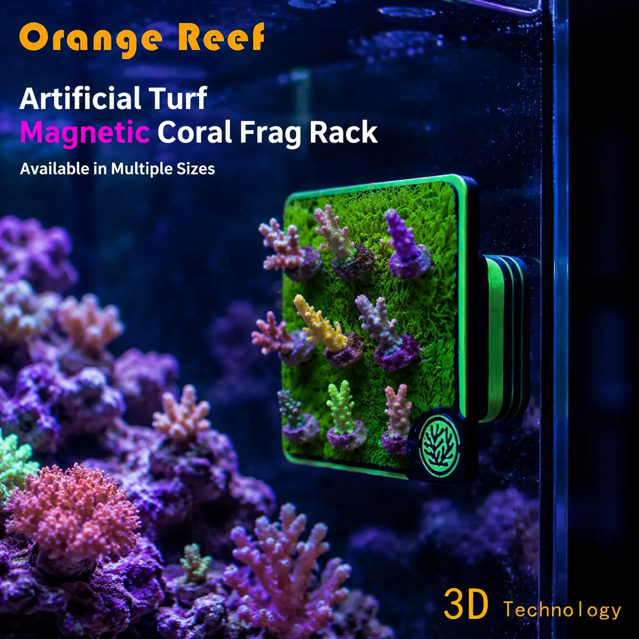 Minimalist Magnetic Coral Frag Rack for Tank Wall, Compatible with Live Australian Purple Turf, Fluorescent & Long Tentacle Turf Coral, Aquarium Reef Decor Bracket small fish