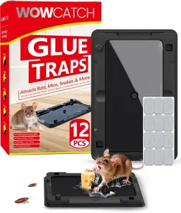 Sticky Mouse Traps Indoor for Home - 12 Pack Glue Traps for Roaches, Spider, Lizard, Rodent Catcher for Kitchen, Garage, Glue Boards for Insects, Pet Safe Pest Control, Non-Toxic, Small Size