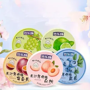 Youlehai Mint Flavor Fruit Snack Candy - Sugar-Free, Fresh Breath Chewable Candies, Pack of 5