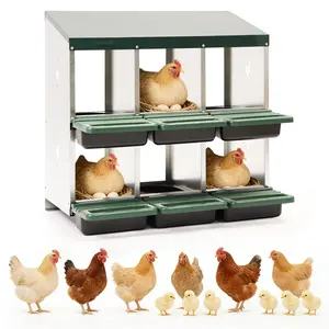 Heavy Duty Galvanized Steel Chicken Nesting Box – For 3 - 8 Hens – Rustproof Lay Box with Anti-Peck Design – Outdoor Poultry Management