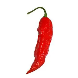 Tombstone Ghost Pepper Seeds