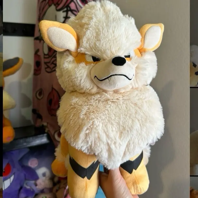 Arcanine - Tiger - Orange - Stripped - Fire Type