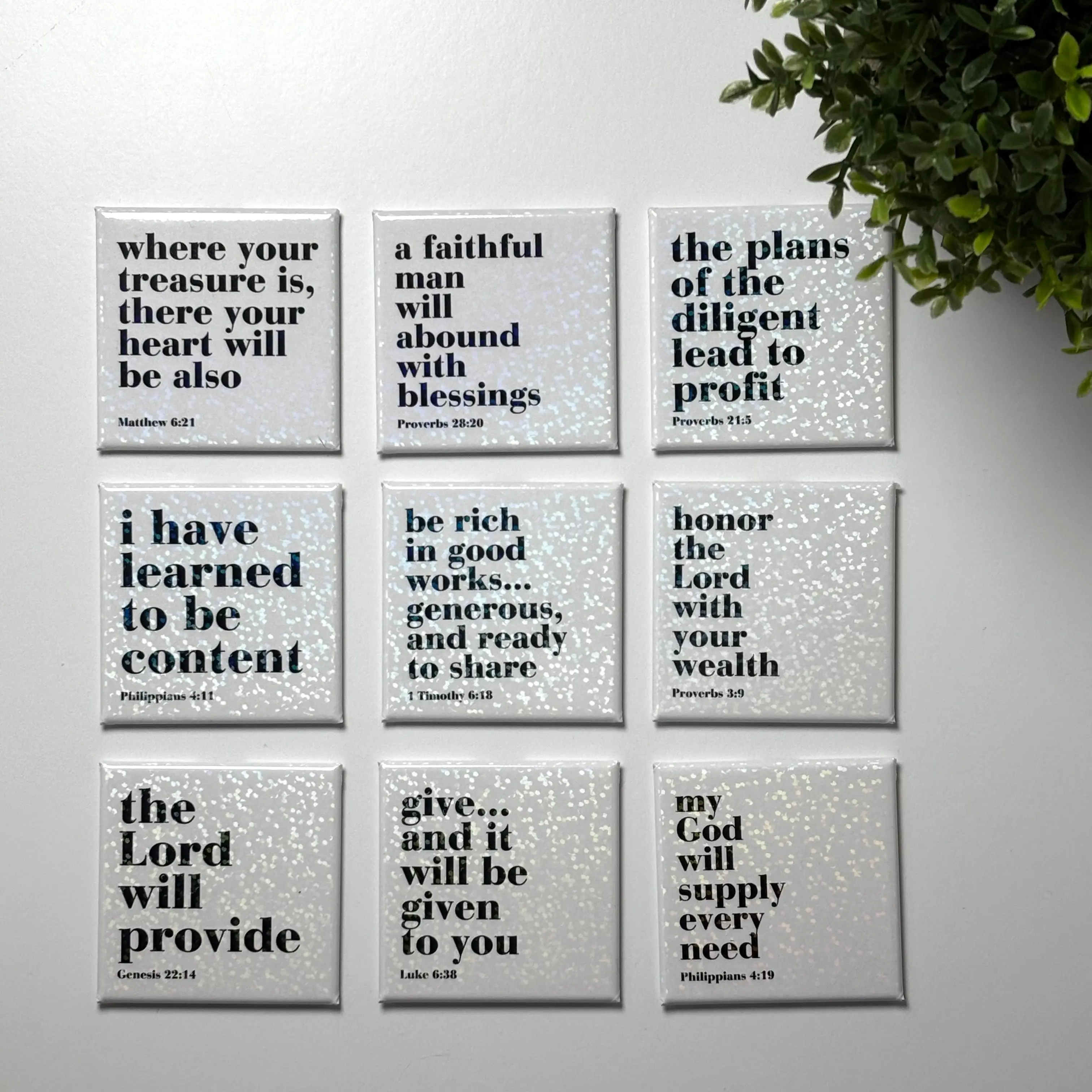 Stewardship Magnet Set