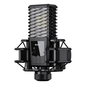 BASN BMS2 Large Diaphragm Cardioid Pickup Studio Condenser XLR mase Microphone Suitable for Recording, Podcasting, Singing, Streaming Electronics Audio Multicolor Black Smartphone