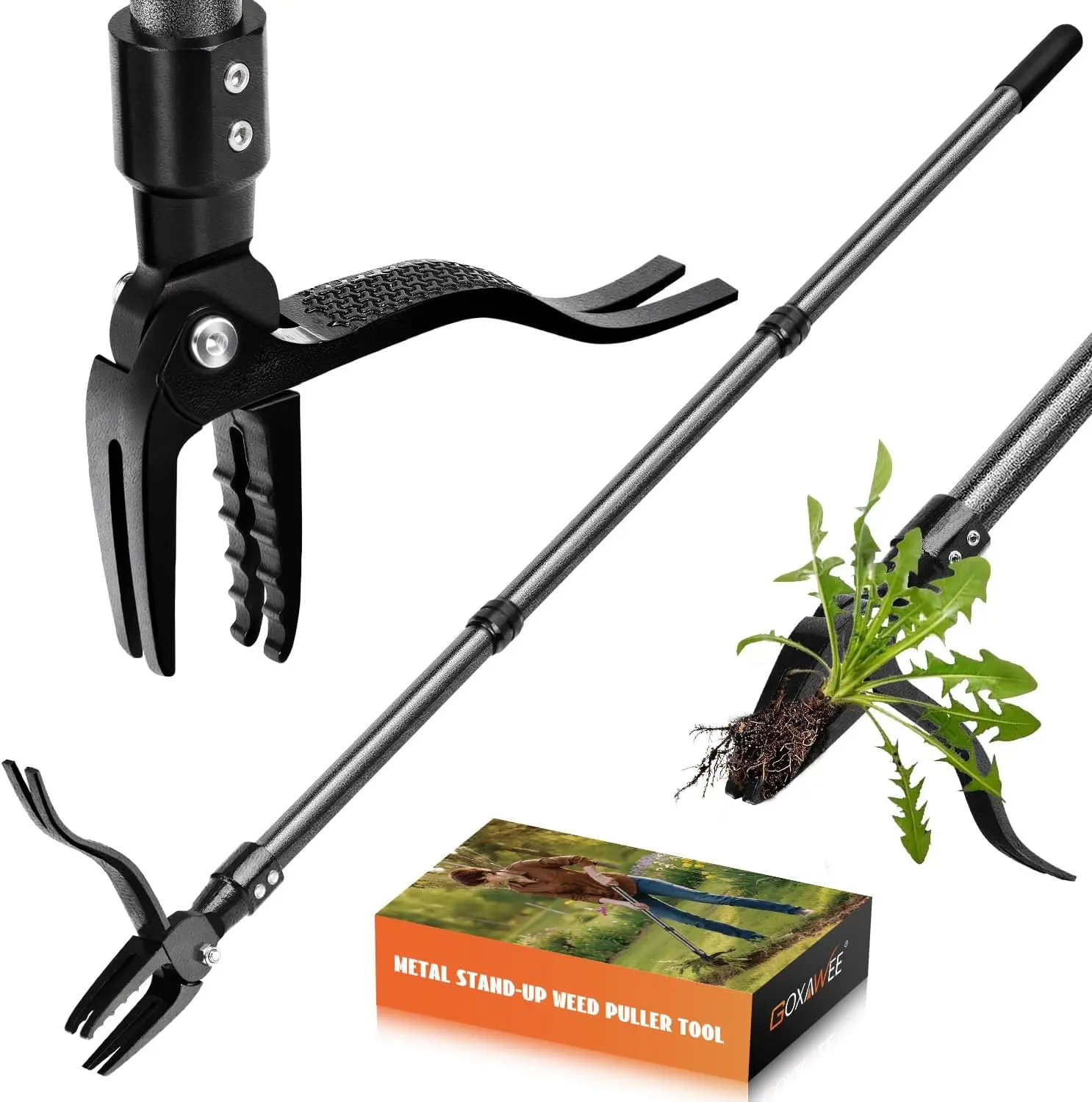 Manual Weed Puller Tool - 45-in Adjustable Steel 4-Claw Head, 33-in Lightweight Durable Long Handle, Easy-to-Assemble Design for Garden, Flower Beds Weed Removal, Reduces Bending and Kneeling