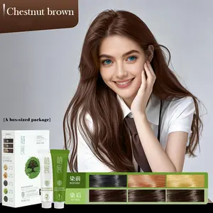 Zhi Zhan Ecological Hair Dye Eco Chestnut Brown 120g Plant-Derived Formula Gentle Fruity Scent Non-Irritating Multi-Effect Care - Haircare