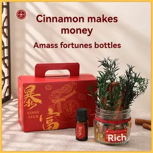 Cinnamon Brings Prosperity Cinnamon Pinecone Office Bedside Decor Office Decor Auspicious Good Luck Bottle/Wealth Bottle