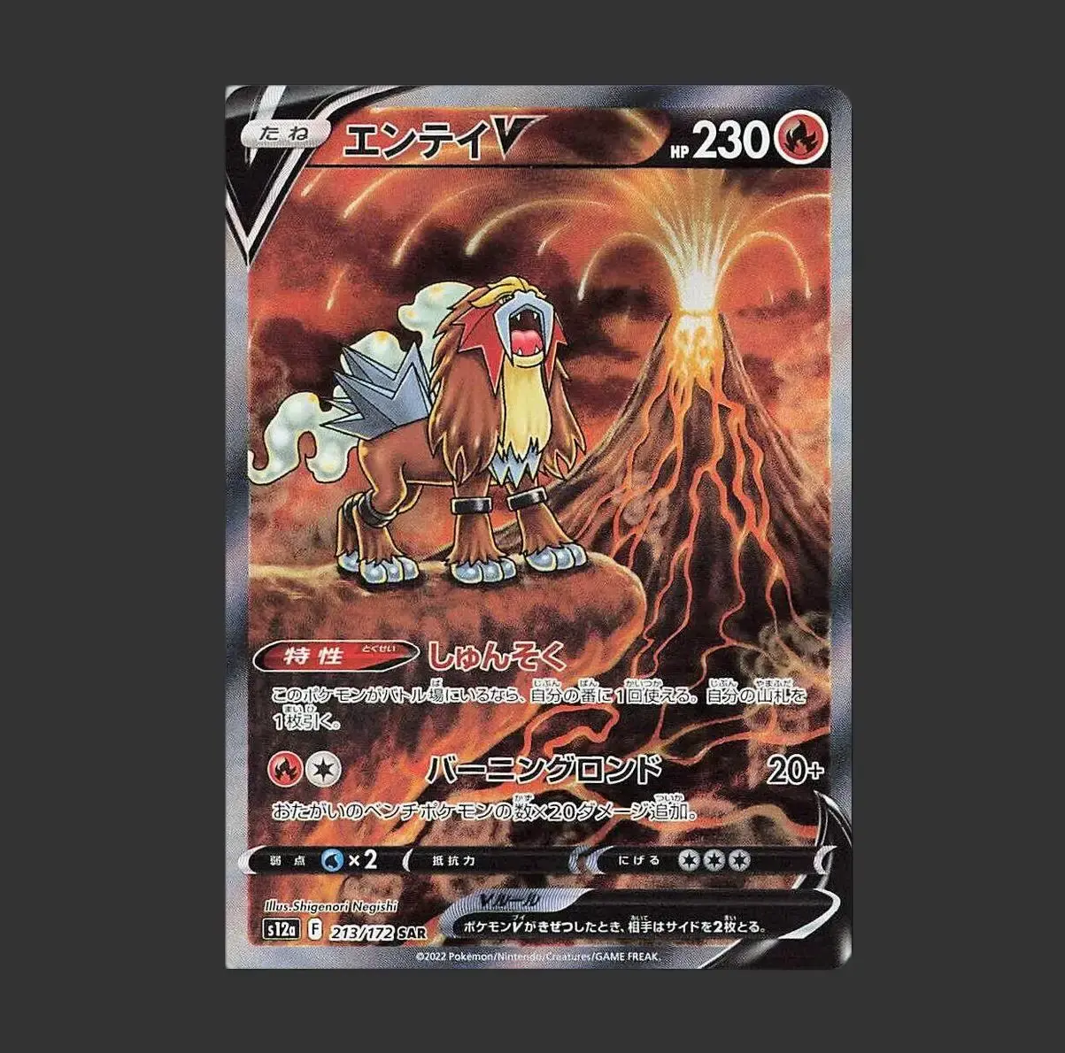 Entei V Special Art Rare (SAR) 213/172 - S12a - VSTAR Universe