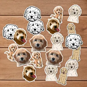 Stickers Pack 20 Pcs Goldendoodle Car Colorful Bottle Vinyl Skateboard Laptop Guitar Luggage Waterproof Water Aesthetic Bumper Bike