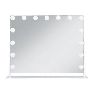 Zadro 15 Led Light Bulb Vertical Hollywood Makeup Mirror