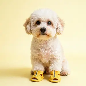 Pet Dog Shoes, Breathable Mesh Anti-Slip Puppies Sandals, Pet Summer Footwear, Cute and Photo-Friendly, Pet Accessories, Puppy Shoes, Paw Protector Booties