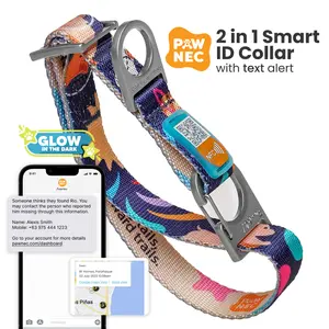NeoCollar 'Cosmic Paws' - 2-in-1 dog collar with ID tag - Personalized with Name - Customized Collar for Pets
