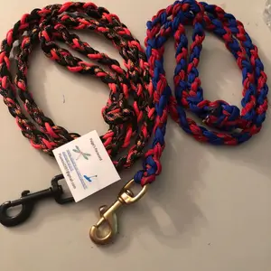 4ft dog leash