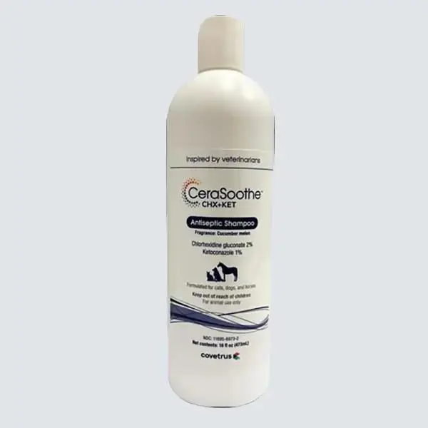 CeraSoothe CHX+ KET Antiseptic Shampoo - 16 oz Bottle