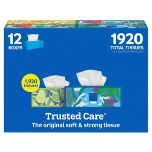 Kleenex Trusted Care Facial Tissues 12 Pack, 160 Tissues per Box, Soft & Strong 2-Ply Disposable Face Tissues for Home, Office & Travel