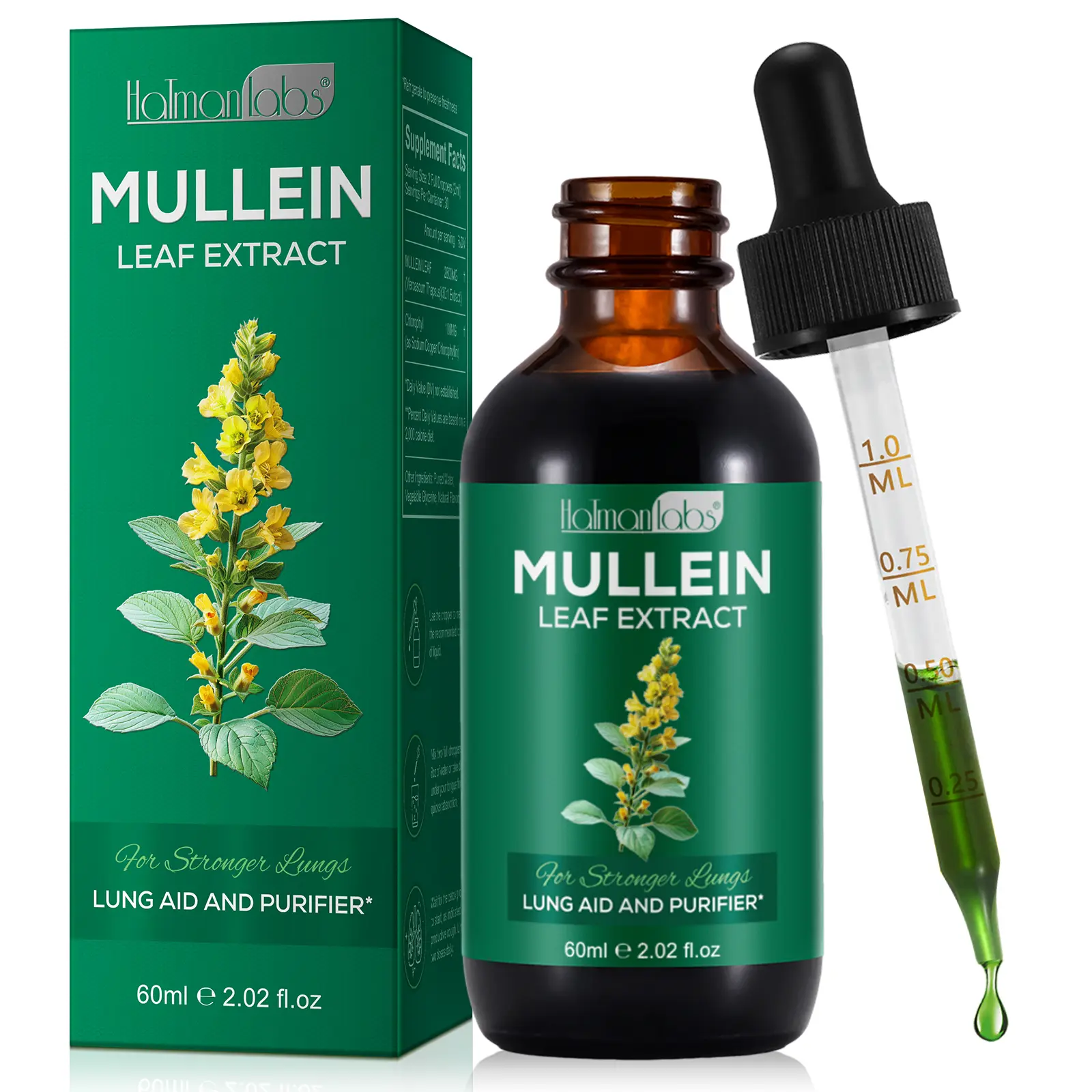 Hatmanlabs Mullein Leaf & Chlorophyll Extract Drops For Lung Heathly Breathing & Cleanse (60 ml)