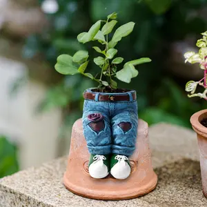 Denim Clothing Design Flower Pot, Garden Planter, 1 Count Resin Creative Ornament, Garden Decoration for Outdoor Lawn Porch Balcony, Home Decor, Garden Supplies