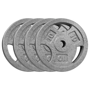 1-Inch Cast Iron Weight Plate for Strength Training & Weightlifting,Cast Iron Weights Multiple Weights Available 4 x 10 Lbs