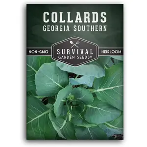 Georgia Southern Collards Seed for Planting - Pack with Instructions to Plant and Grow Healthy Collard Greens in Your Home Vegetable Garden - Non-GMO Heirloom Variety - 1 Pack
