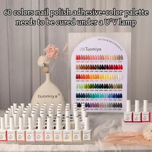 60 Color Gel Nail Polish Set, Nail Art & Nail Polish Set, Professional Nail Art Kit for Women & Girls, Manicure Accessories, UV Light Gel