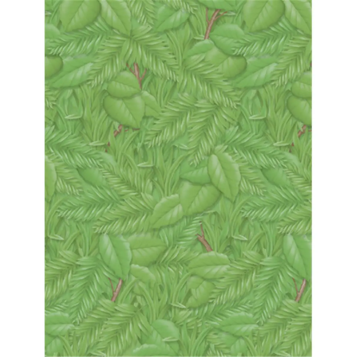 Pacon Fadeless Designs Printed Paper Roll, 48x50 in Tropical Foliage, Office Stationery for Bulletin Boards & Academic Wall Decor (PAC56255), Printed Paper Paper