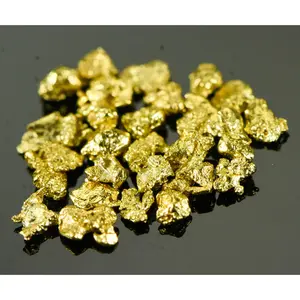 Alaskan Yukon Gold Rush Nuggets 12 Mesh 1 Gram of Fines