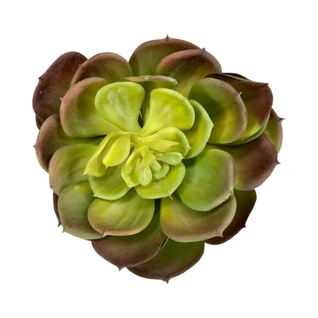 Artificial Echeveria Succulent Pick