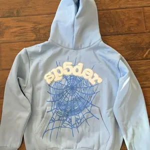 Spider Hoodie - Blue Racoon Graphic
