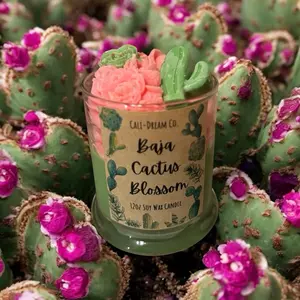 Baja cactus’s blossom candle