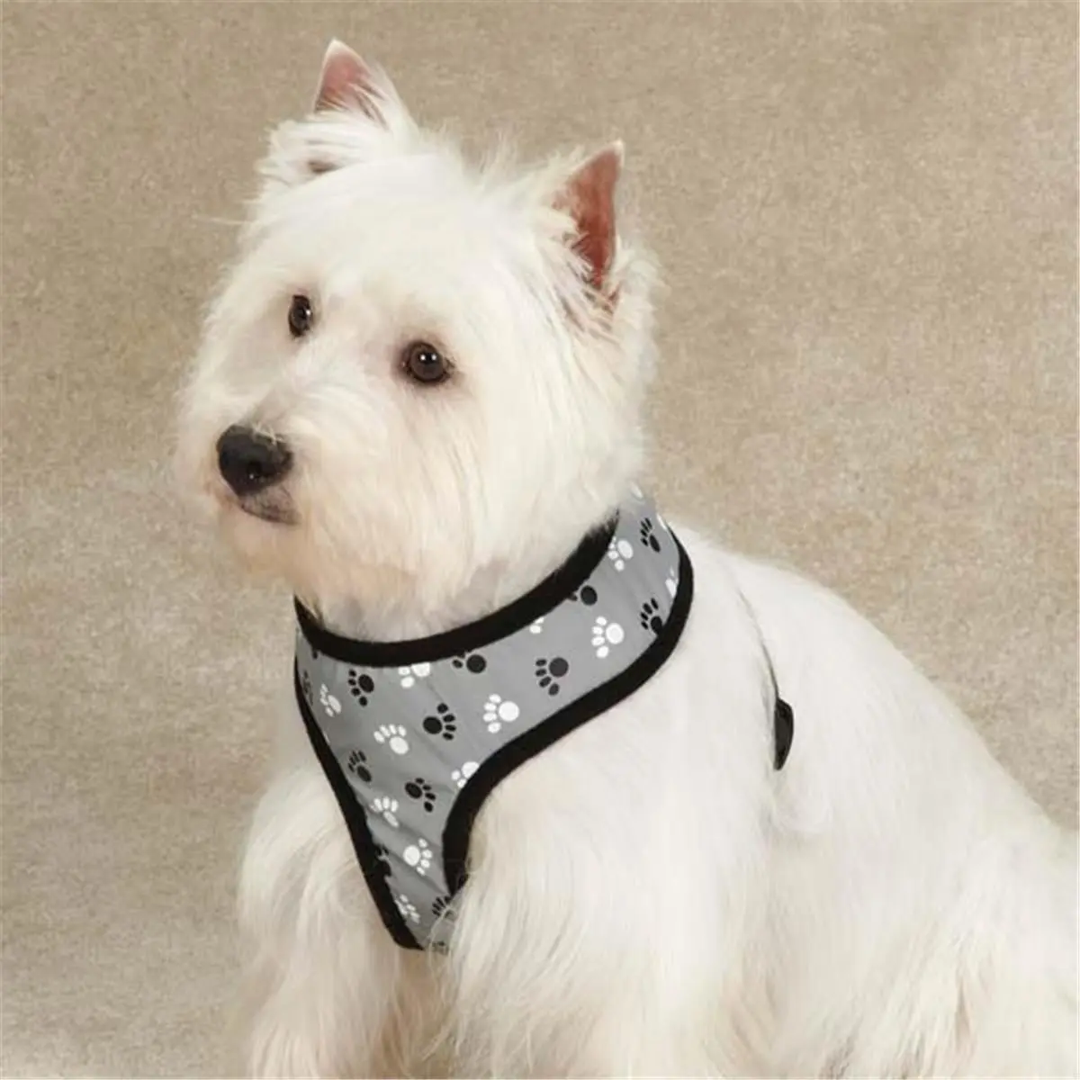 212 MAIN Adjustable Safety Reflective Strip Harness for Casual Canines - Medium Size, Black, Night Safety Visibility Boost Walking Harness, Adjustable Safety Harness