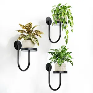 3-Pack Wall-Mounted Plant Stand Indoor Plant Wall-Mounted Flower Pot Plant Hanger Indoor Wall-Mounted Flower Pot Window Sill Plant Stand Hanging Plant Stand Window Sill Plant Hanger Plant Decoration Black Girl Room Decoration Flower Pot Garden Accessories