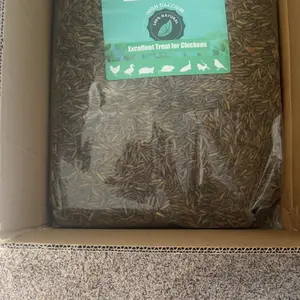 LuckyQworms 22 lbs Dried Black Soldier Fly Larvae Mealworms for Chickens Birds Bluebirds Hamsters Turtles Fish Hedgehogs High Protein Omega-3 Fatty Acids Pet Food for Poultry Reptile Rodent Daily Treats