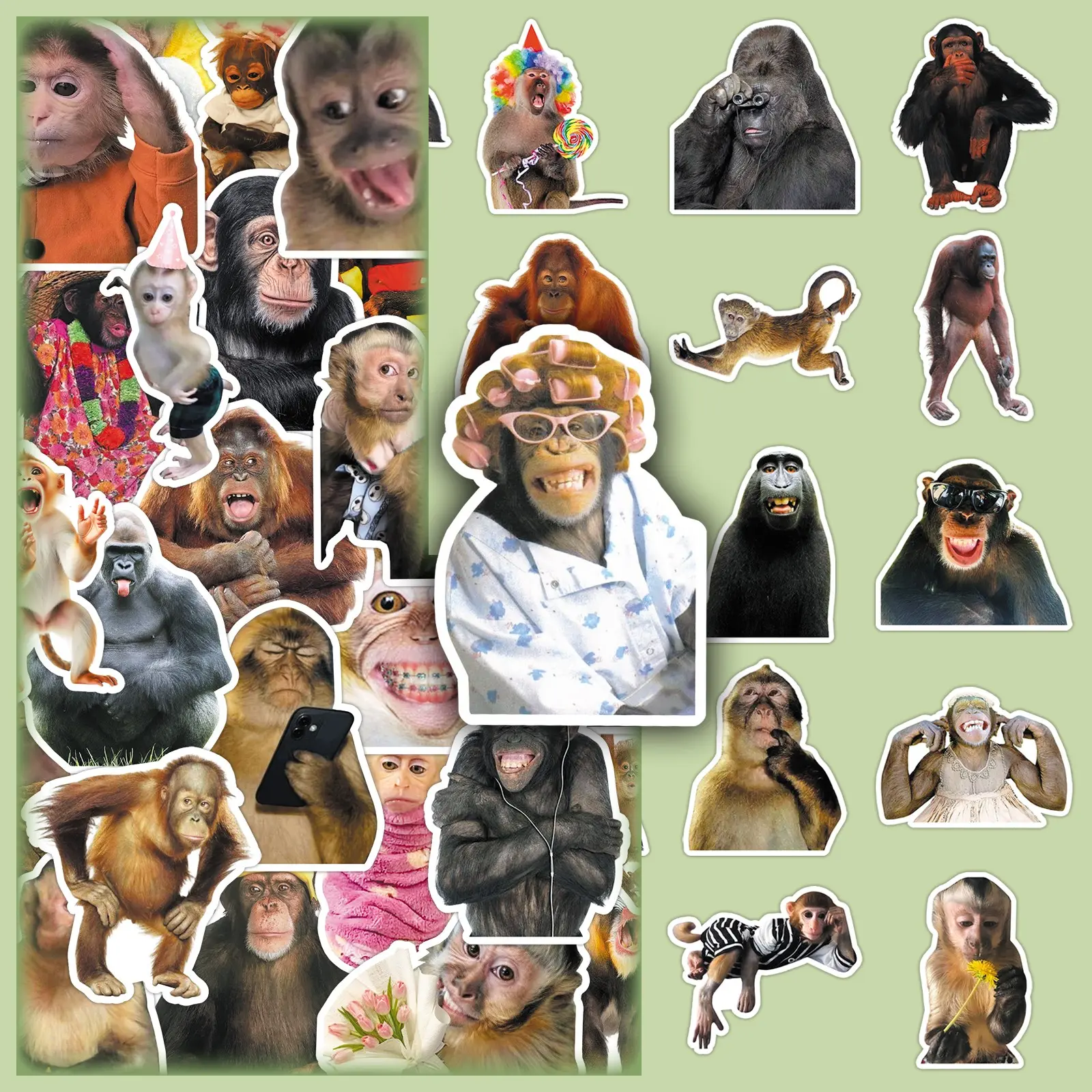 50 Crazy Monkey Personality Creative Cute Whimsical Decoration DIY Scrapbook Phone Case Material Smartphone Stickers Cellphone