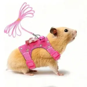 Pet Carrier Backpack Set with Leaf Decoration, Bowknot & Bell Accessories, Ideal for Guinea Pigs Hamsters Mice Outdoor Walks Outside