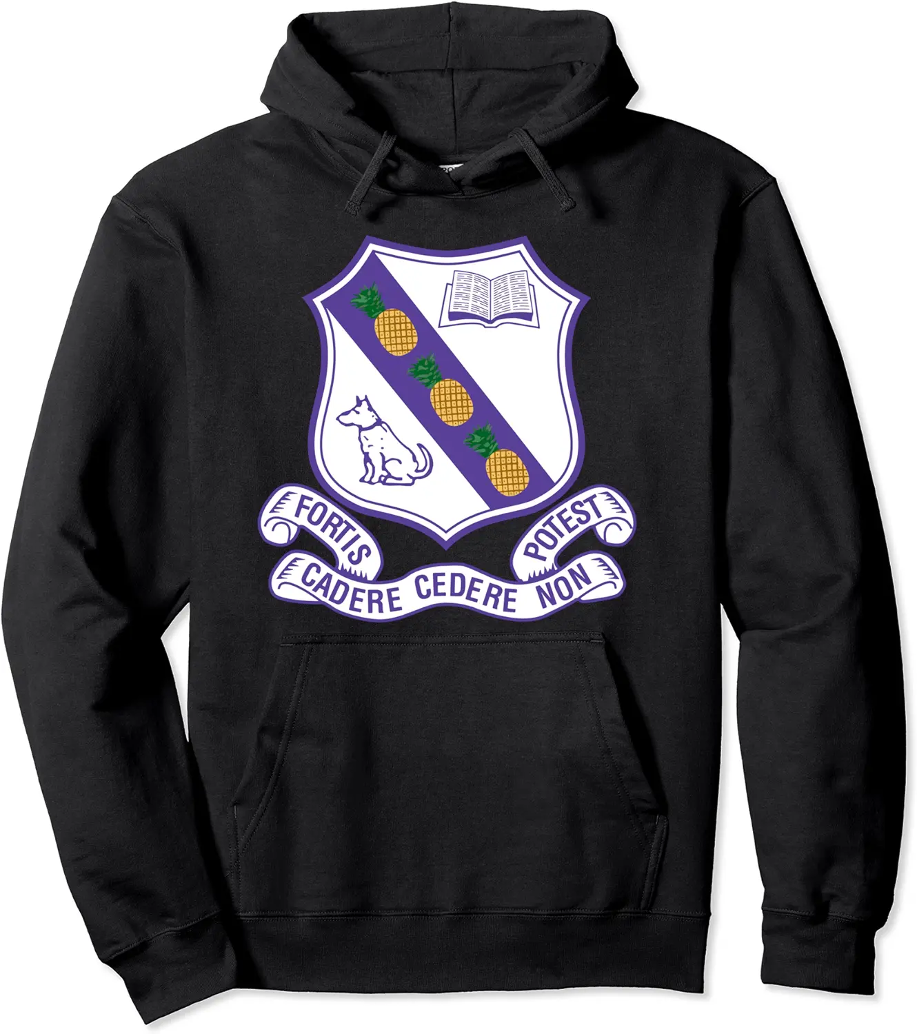 Kingston College Fortis Forever Pocket Logo Pullover Hoodie - Dakotamc Shop 53B0CK4W3X7K