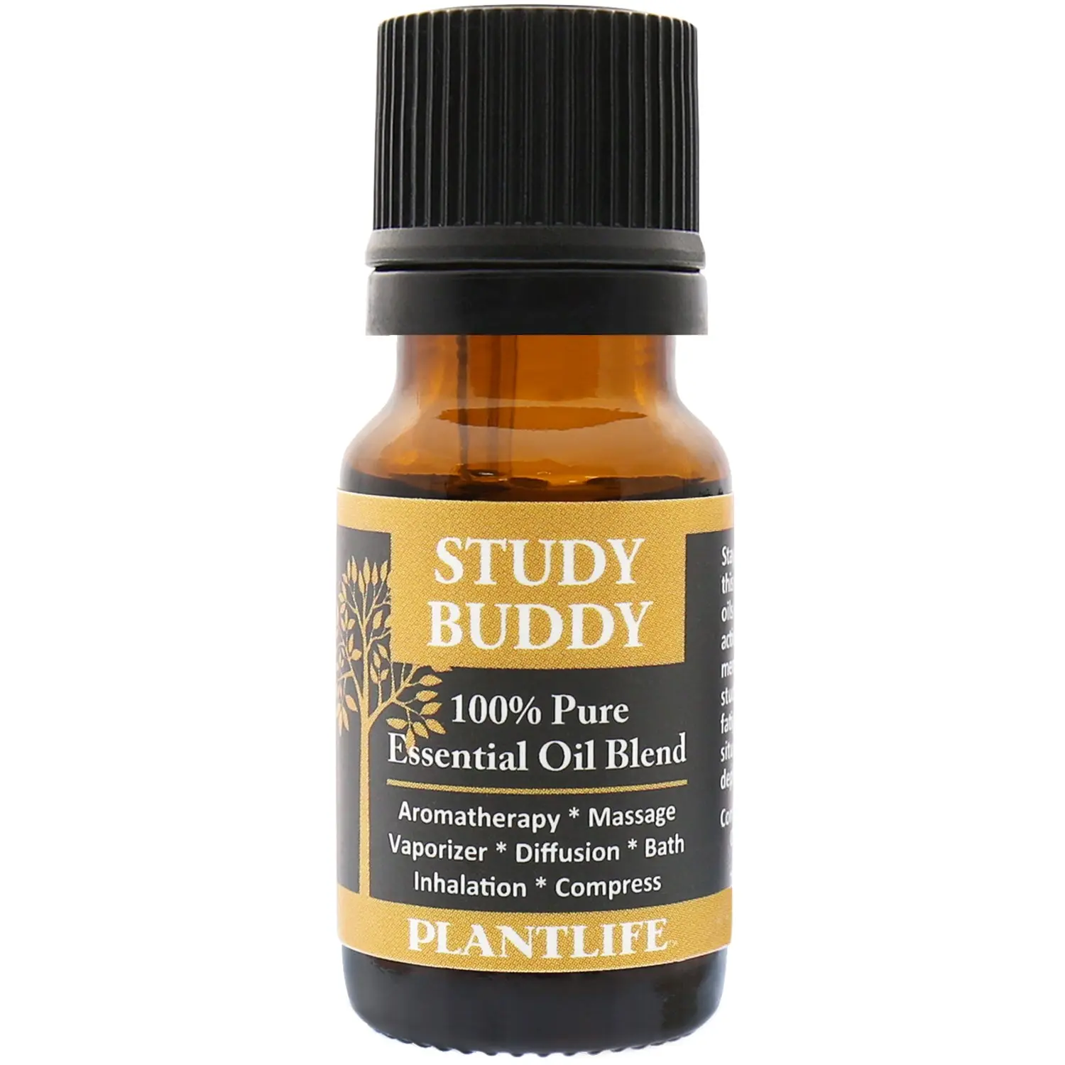 Plantlife Study Buddy Essential Oil Blend 10 ml – Bright Focus‑Enhancing Aromatherapy Blend