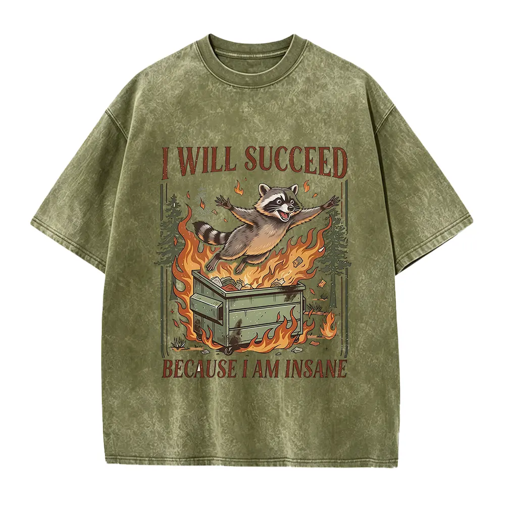I Will Succeed Because I Am Insane Shirt, Funny Raccoon Tee, Chaotic Motivation Shirt, Trash Panda Meme Shirt, Vintage Graphic Tee