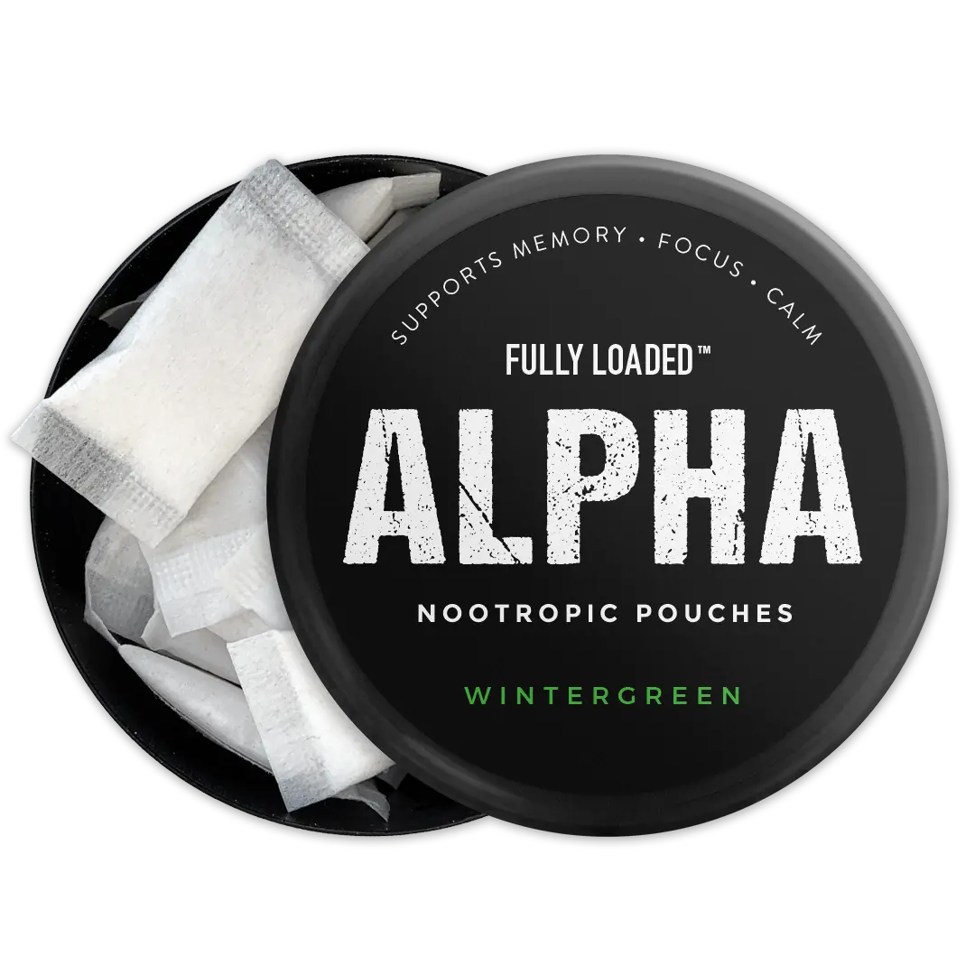 ALPHA Wintergreen Nootropic Pouches by Fully Loaded - Calm, Focus, Memory - Sugar Free Healthcare Edible