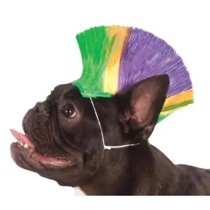 Mardi Gras Mohawk Dog Wig