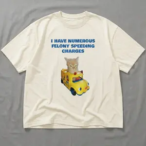 I Have Numerous Felony Speeding Charges Shirt | Funny Orange Cat Meme Custom Tee, White T-shirt