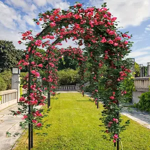 Multi-Scene Metal Garden Arch, Decor for Weddings/Parties/Gardens, Climbing Plant Stand, Free Assembly,Plant Cages & Supports