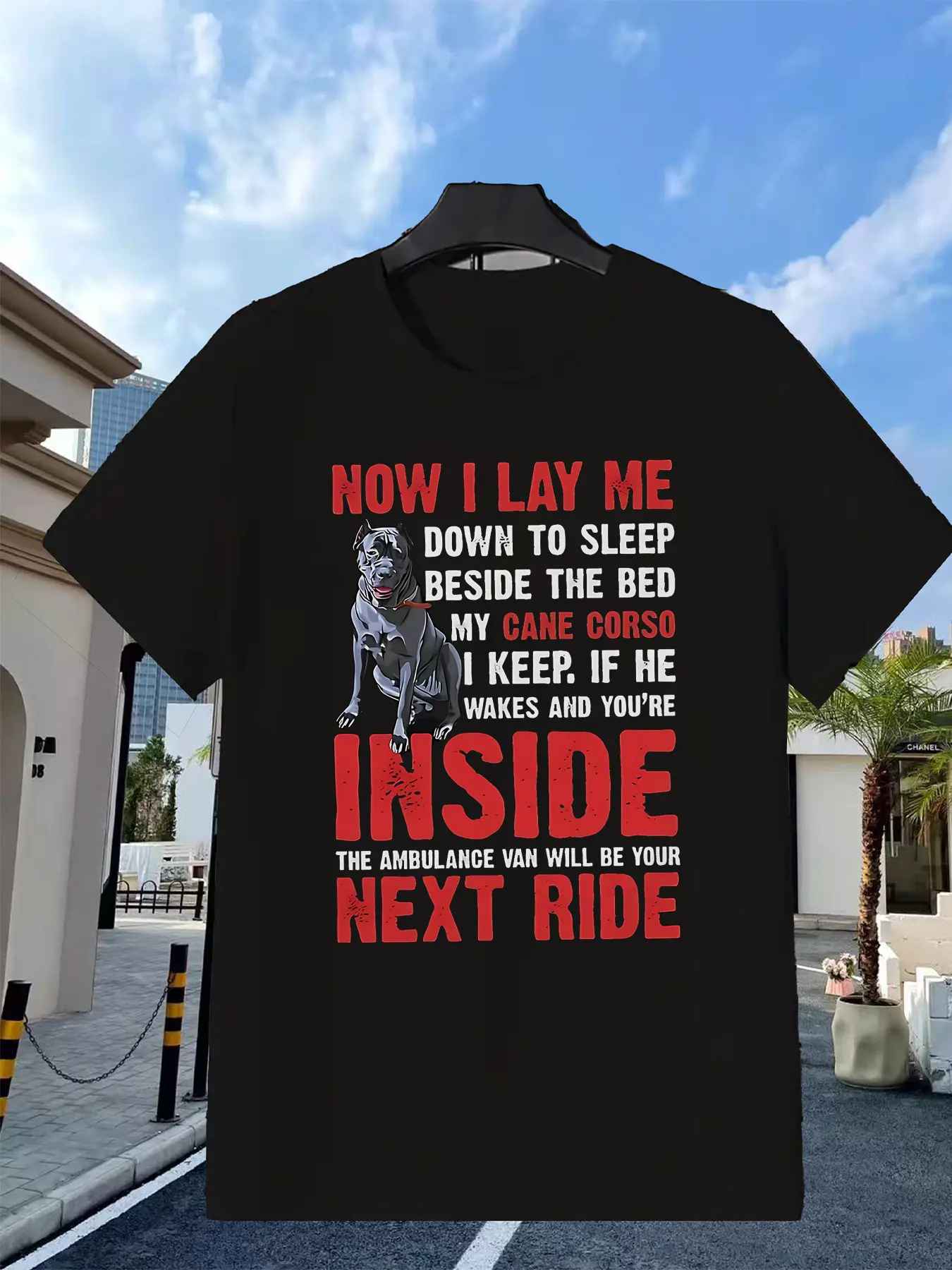 Men's HeavyDuty 250gsm Cane Corso Italian Mastiff unisex soft cotton short sleeve t shirt, vintage graphic casual tee for men women teens, perfect birthday holiday gift for camping travel gym daily street  wear