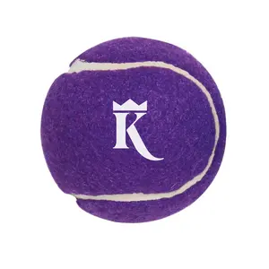 King Lou Tennis Ball Toy for Dogs Fetch Ball