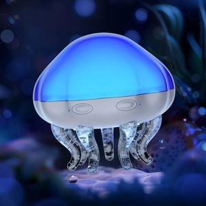 The Light of the Ocean