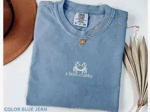 Comfort Colors A Little Crabby Tshirt, Minimalist Beach T-shirt, Funny Meme T-shirt, Summer Aesthetic Tee, Comfort Colors Graphic Tee, Casual Outfit, Vintage Wash Shirt, Comfortable Menswear & Womenswear Top, May1
