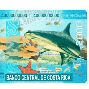 Costa Rican colón the Ultimate Rectangle Sticker for Anywhere & Anything Minimal Tech Style | Waterproof | Perfect Fit for Laptops & Accessories