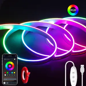 SEGRASS RGB Neon Rope Lights - 5V LED Lights with Remote, Mobile App Control, Music Sync, Flexible DIY Design, Versatile Use for Bedroom, Weddings, KTV, Balcony Home Decoration