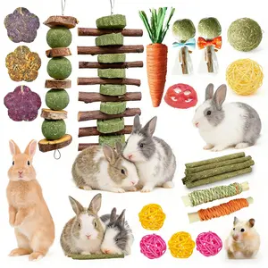 21 Pcs Rabbit Chew Toys – Apple Wood and Timothy Hay Sticks for Teeth – Natural Chew and Treats for Guinea Pigs, Hamsters, and Chinchillas