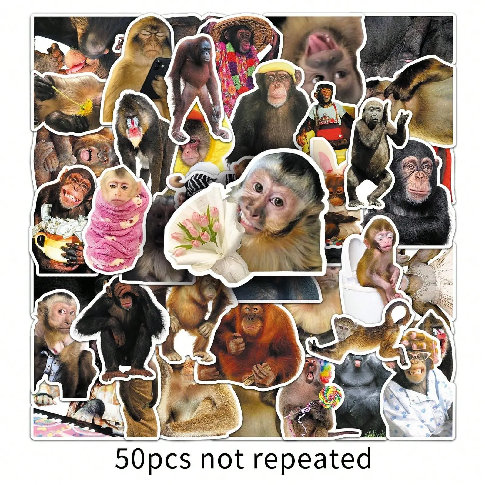50 Monkeys Themed Stickers, Illustration Stickers, Decorative Stickers, Featuring Poses and Expressions of Cartoon Monkeys, Wild Gorilla Sticker Set, Suitable for DIY Decoration on Notebooks, Laptops, Water Bottles, Phones. Safe, BPA-Free PVC